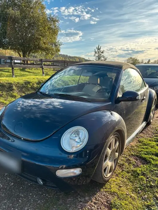 Volkswagen Beetle Cabrio