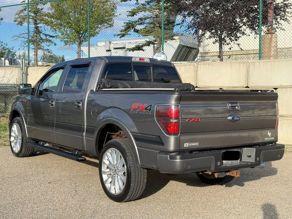 Ford F-150 2014 photo 3