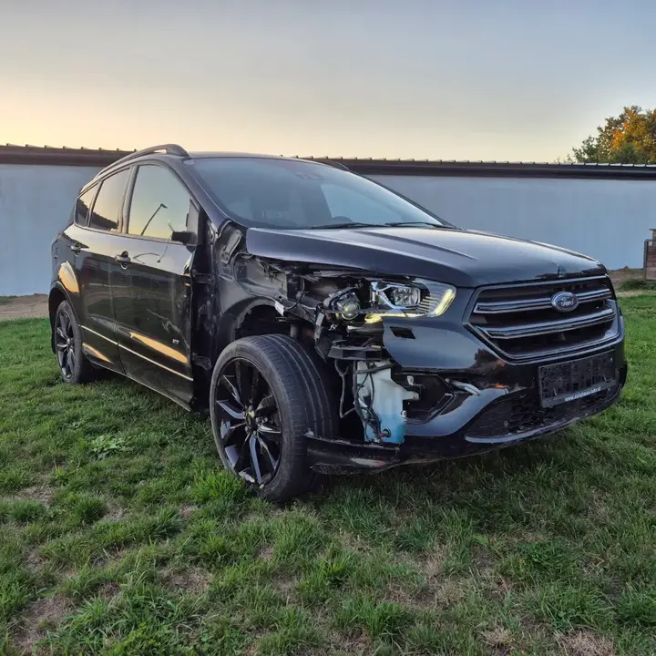 Ford Kuga 2017 photo 3
