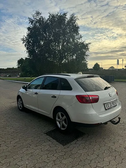 Seat Ibiza 2011 photo 3