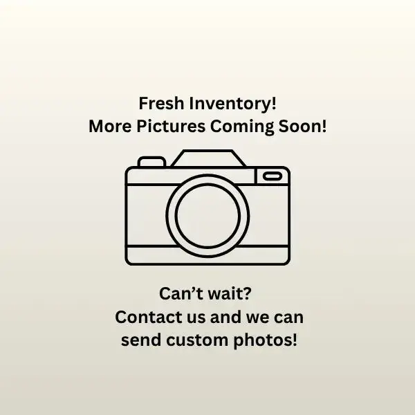 Tesla Model 3 2022 photo 4
