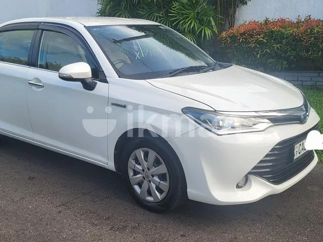 Toyota Axio 2015 photo 3