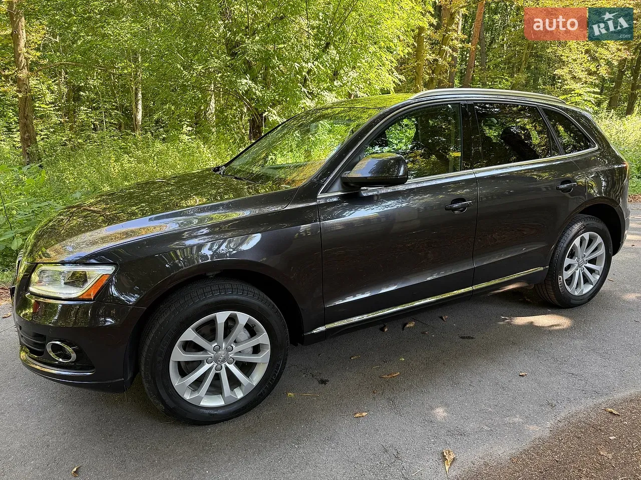 Audi Q5 2013 photo 5