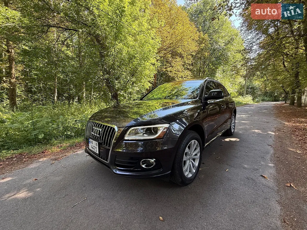 Audi Q5 2013 photo 3
