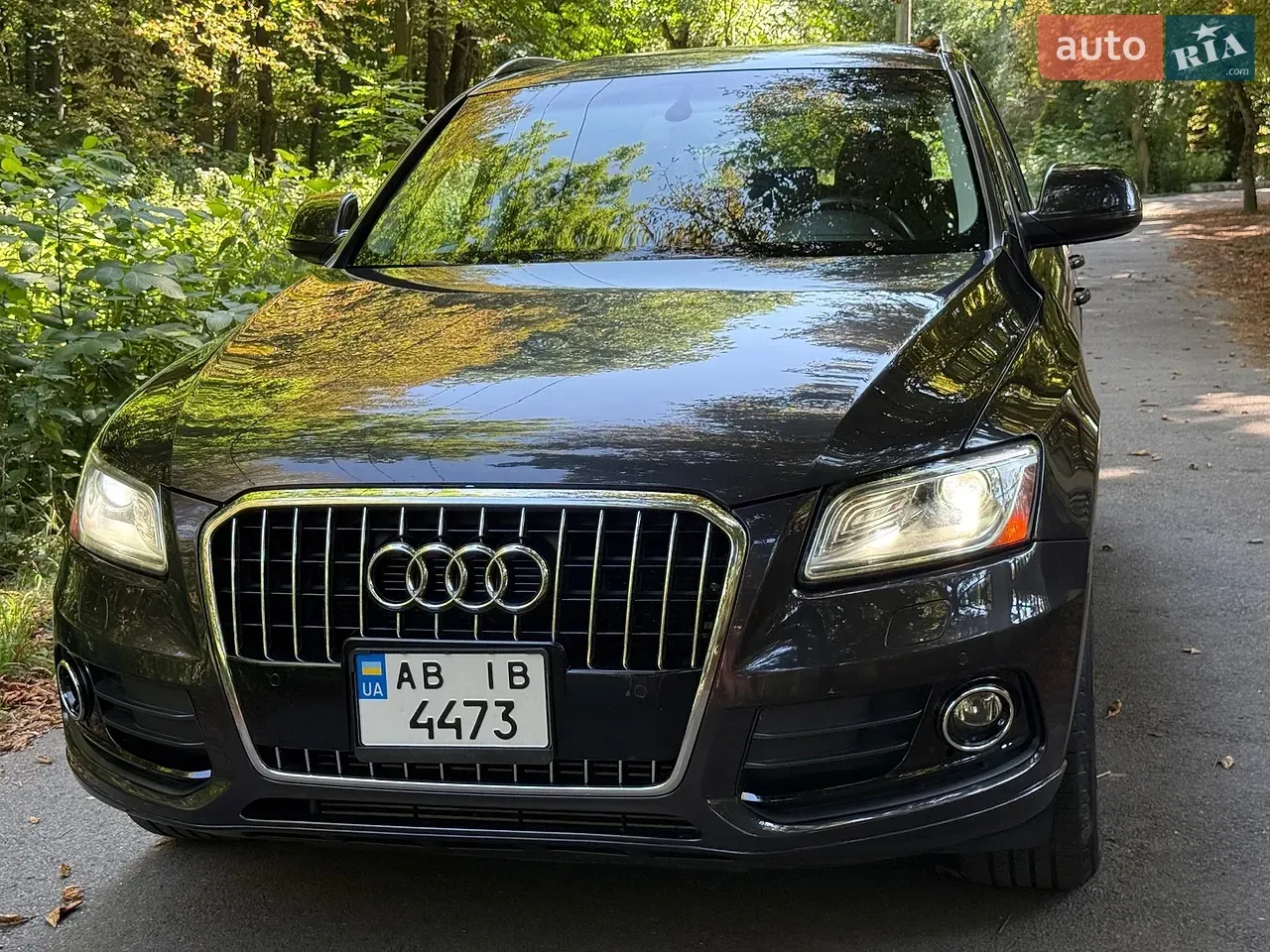 Audi Q5 2013 photo 2