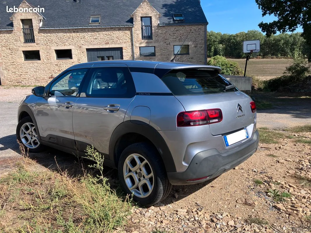 Citroen C4 Cactus 2019 photo 2