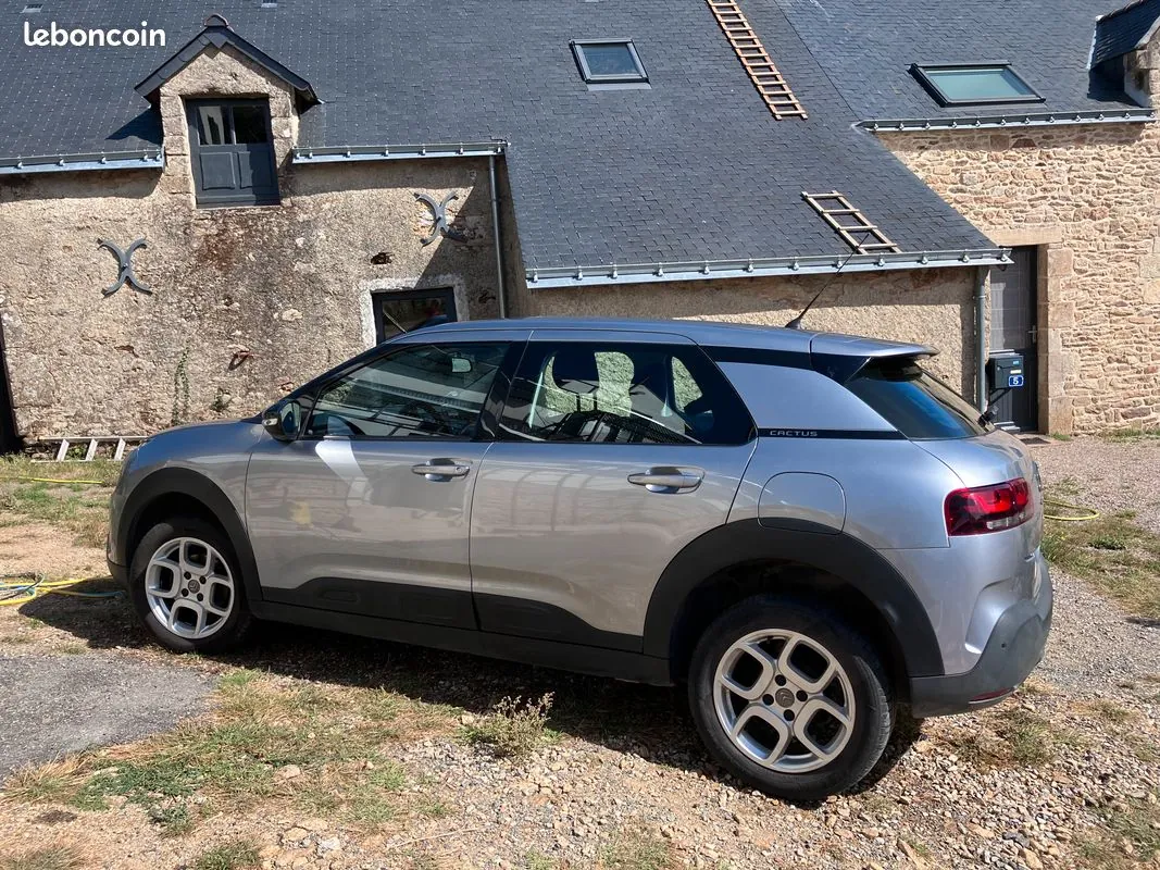 Citroen C4 Cactus 2019 photo 5