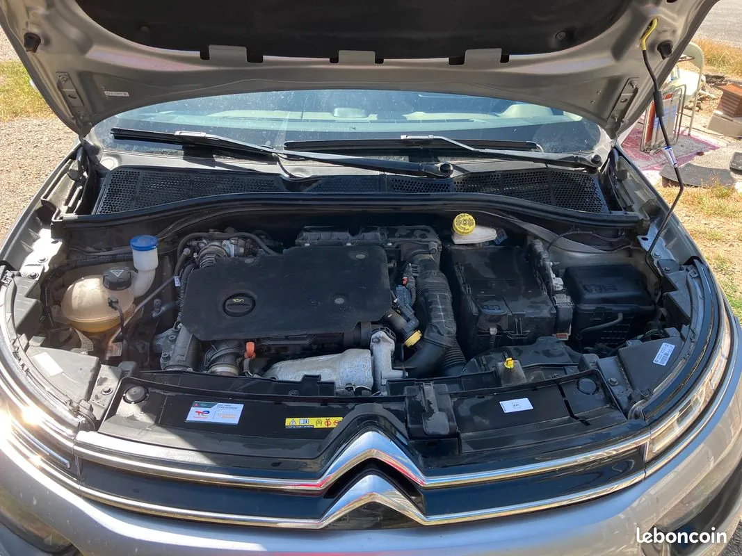 Citroen C4 Cactus 2019 photo 4