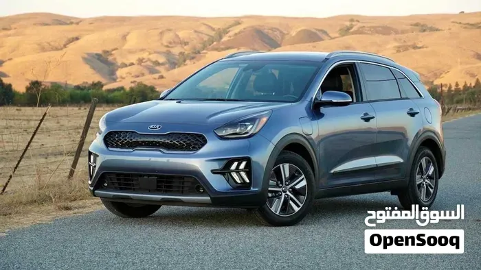 Kia Niro Ev 2020 photo 2