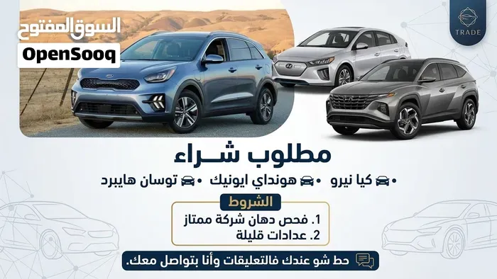 Kia Niro Ev