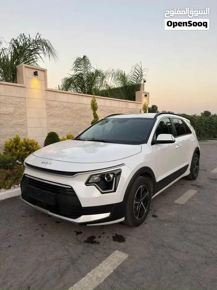 Kia Niro Ev 2020 photo 5