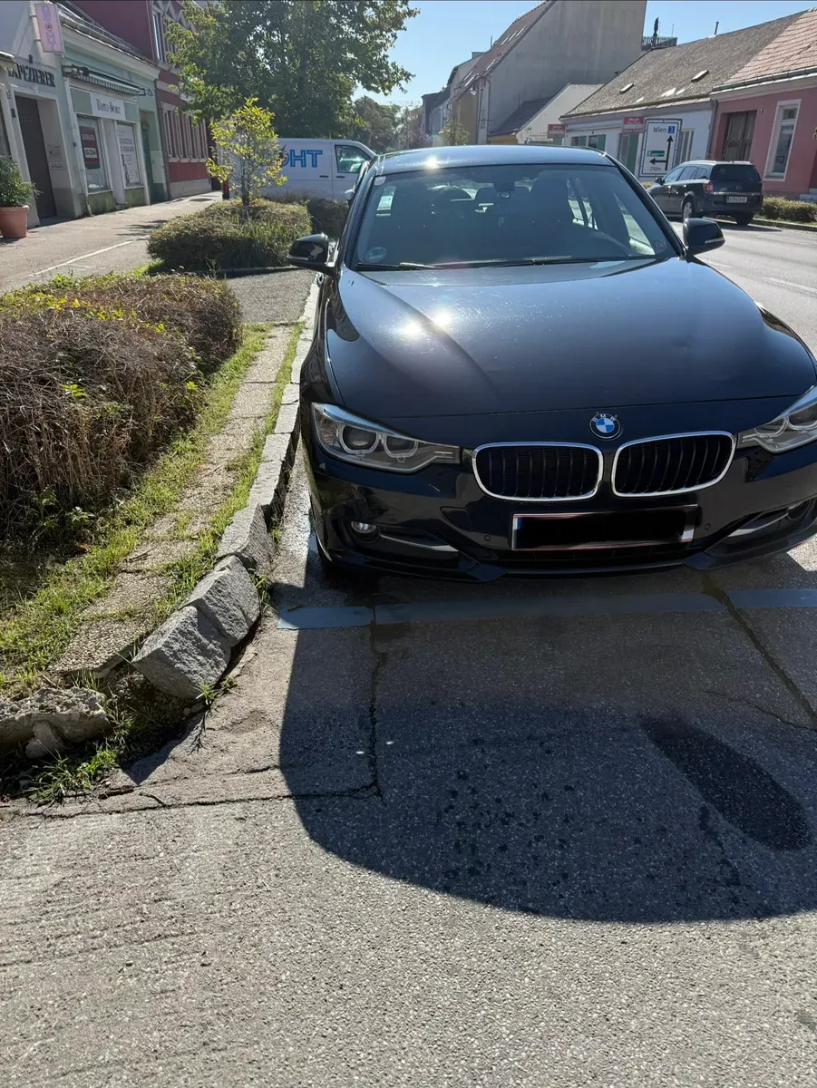 BMW 3 Series 2012 photo 2
