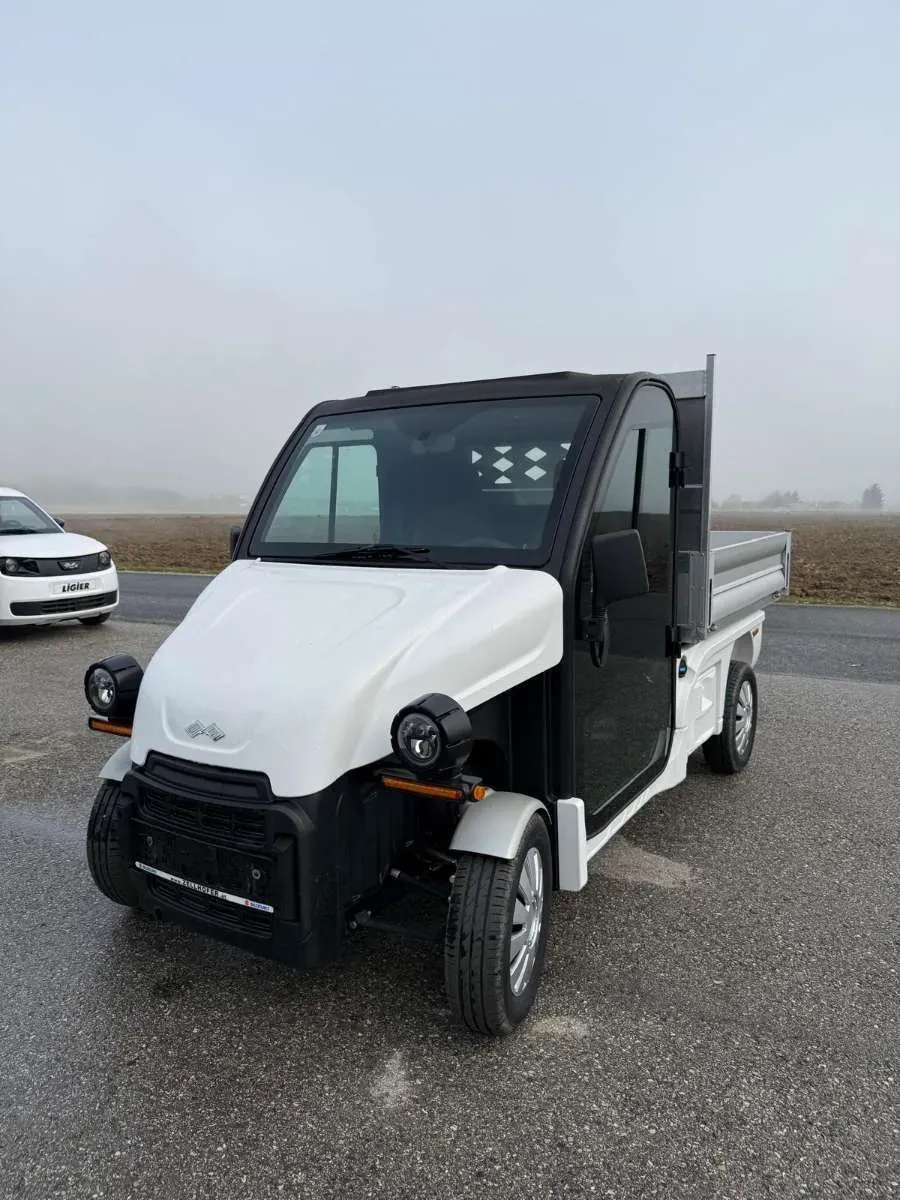 Ligier Pulse 4