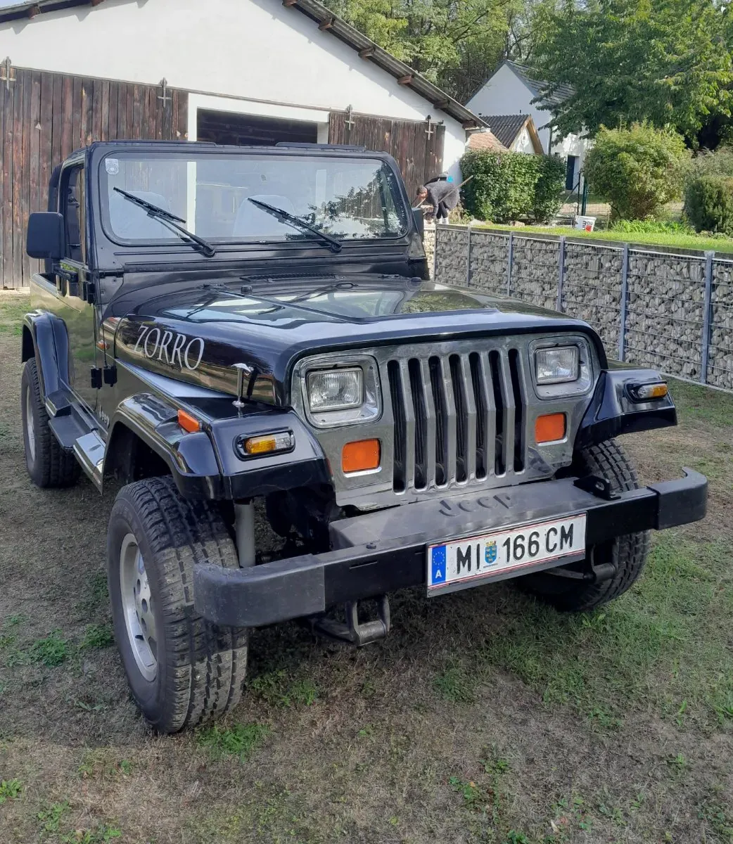 Jeep Wrangler 1994 photo 3