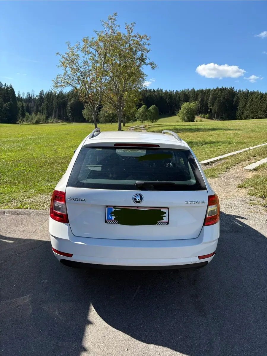 Skoda Octavia 2017 photo 3