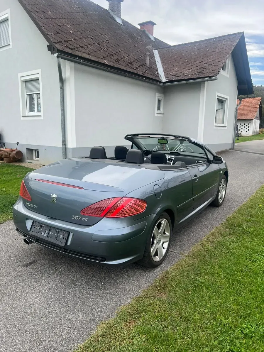 Peugeot 307 2005 photo 2