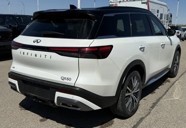 Infiniti Qx60 2024 photo 5