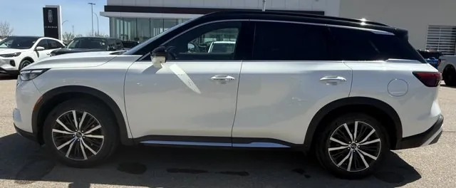 Infiniti Qx60 2024 photo 2