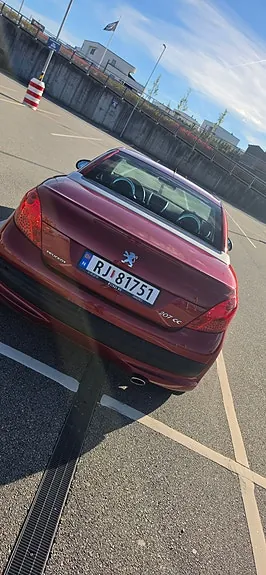 Peugeot 207 Cc 2008 photo 4