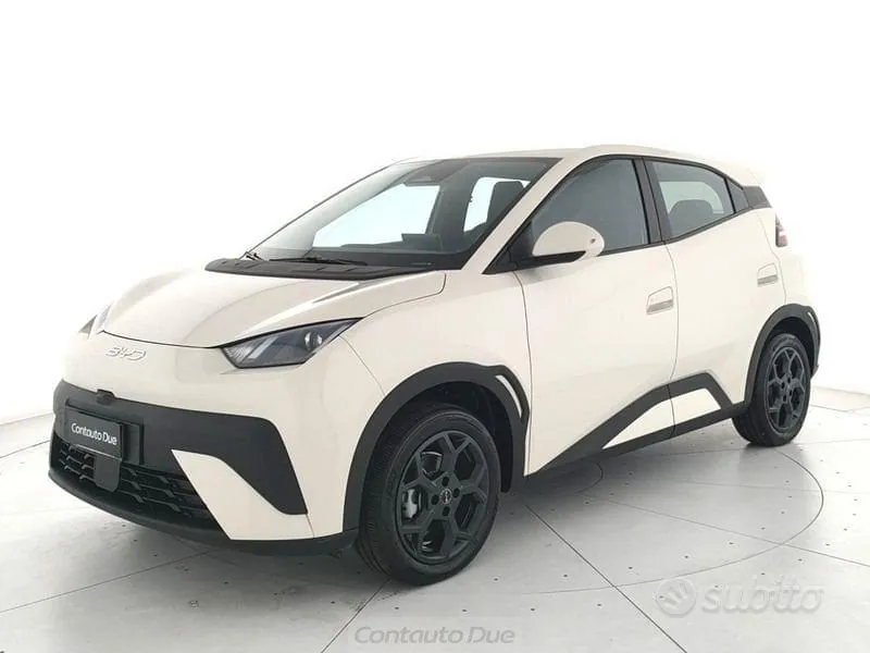 BYD Dolphin Surf