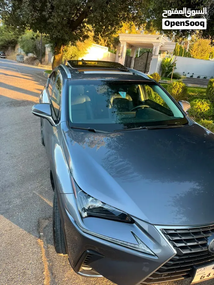 Lexus Nx 2019 photo 4
