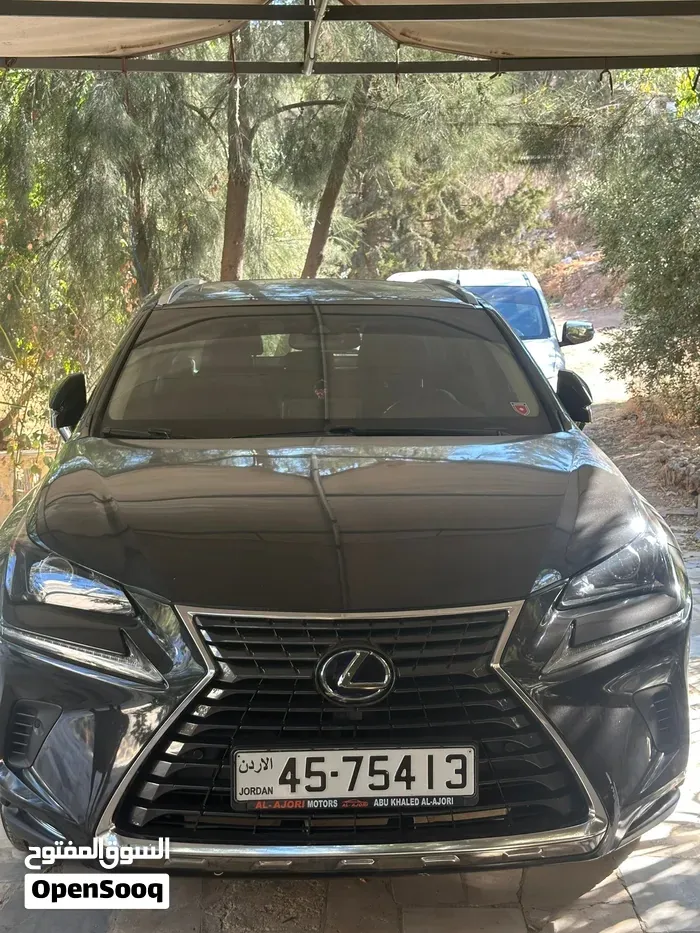 Lexus Nx 2019 photo 5