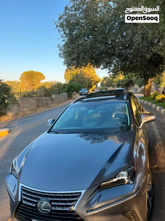 Lexus Nx 2019 photo 2