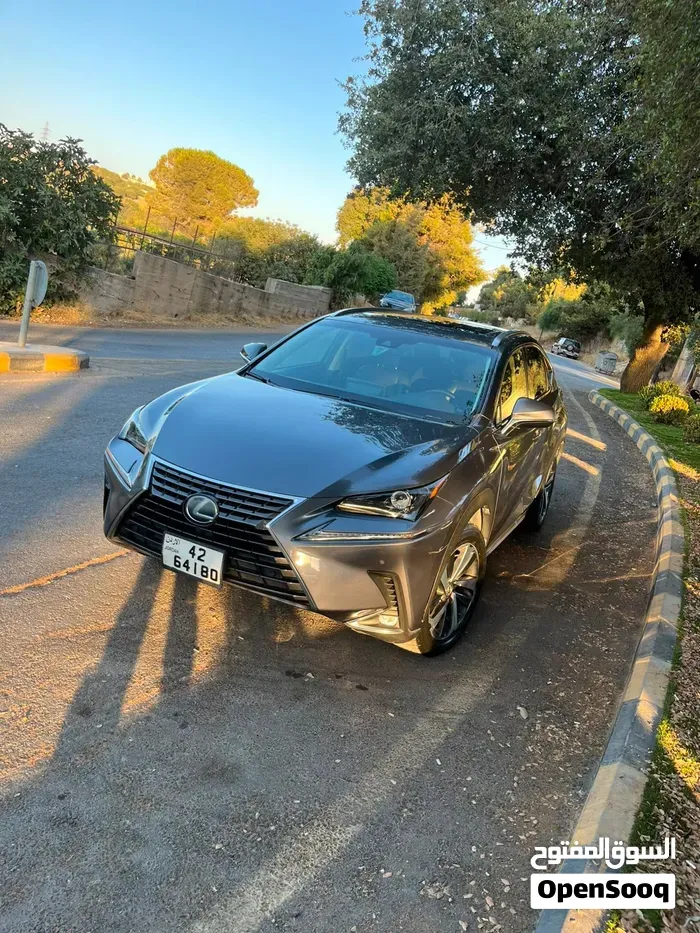 Lexus Nx 2019 photo 3