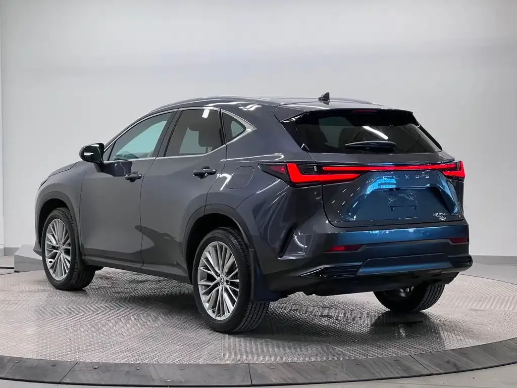 Lexus Nx 2024 photo 3