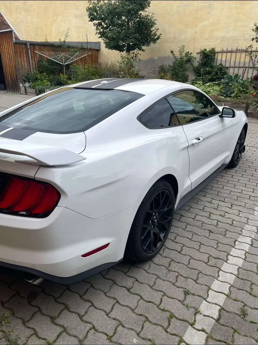 Ford Mustang 2019 photo 3