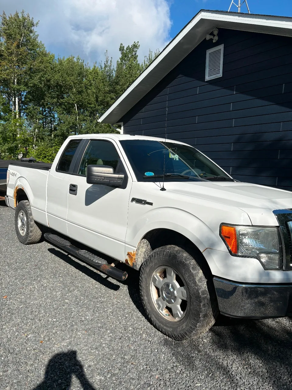 Ford F-150 2010 photo 3