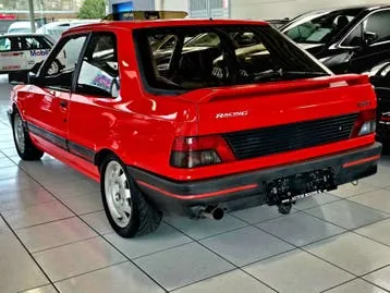 Peugeot 309 1991 photo 3