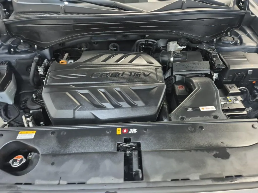 Hyundai Palisade 2019 photo 5
