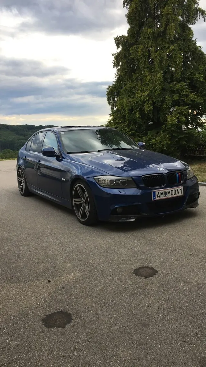 BMW 3 Series 2010 photo 2