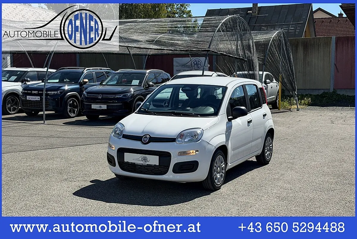 Fiat Pandina