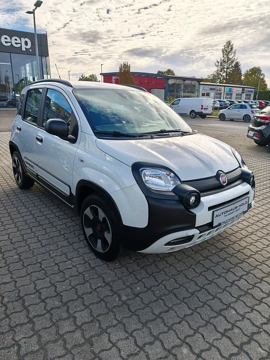 Fiat Panda 2018 photo 2