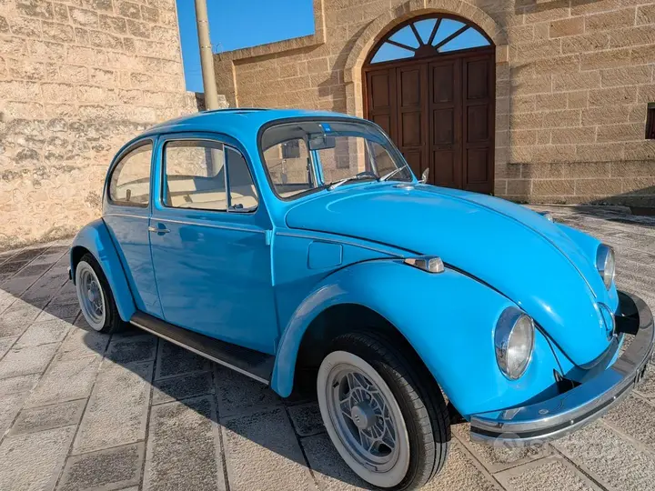 Volkswagen Maggiolino 1969 photo 3