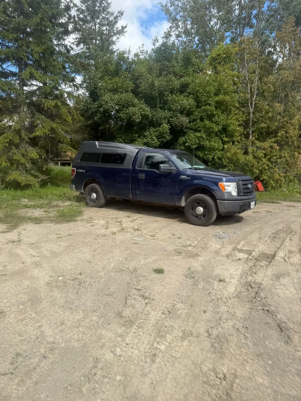 Ford F-150 2009 photo 3