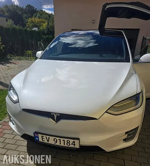 Tesla Model X 2019 photo 2