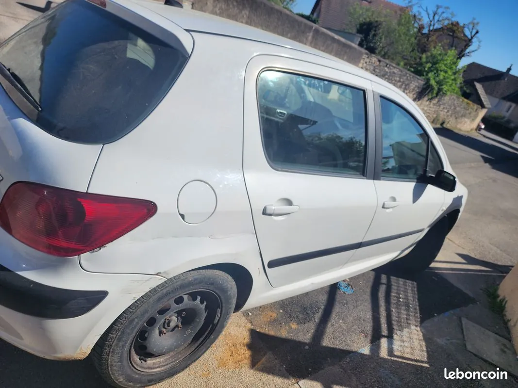 Peugeot 307 2004 photo 2