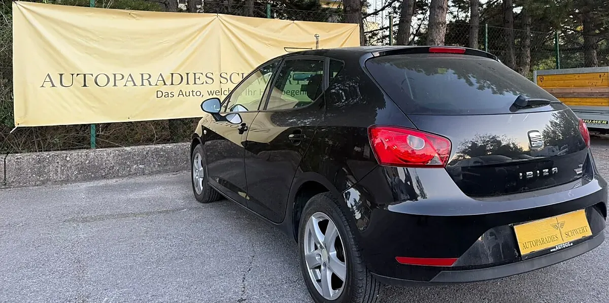 Seat Ibiza 2013 photo 3