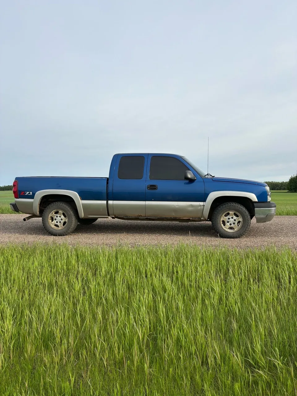Chevrolet Silverado 1500 2003 photo 4