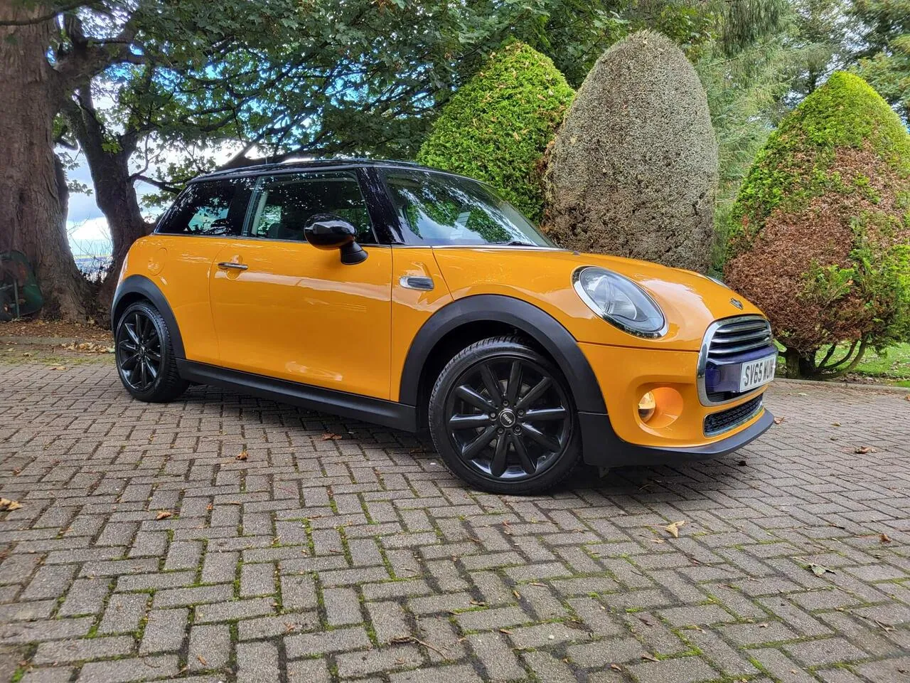 Mini Hatch