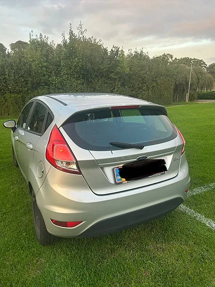 Ford Fiesta 2015 photo 3