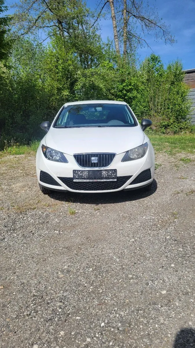 Seat Ibiza 2011 photo 3