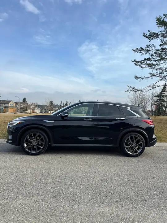 Infiniti Qx50 2019 photo 2