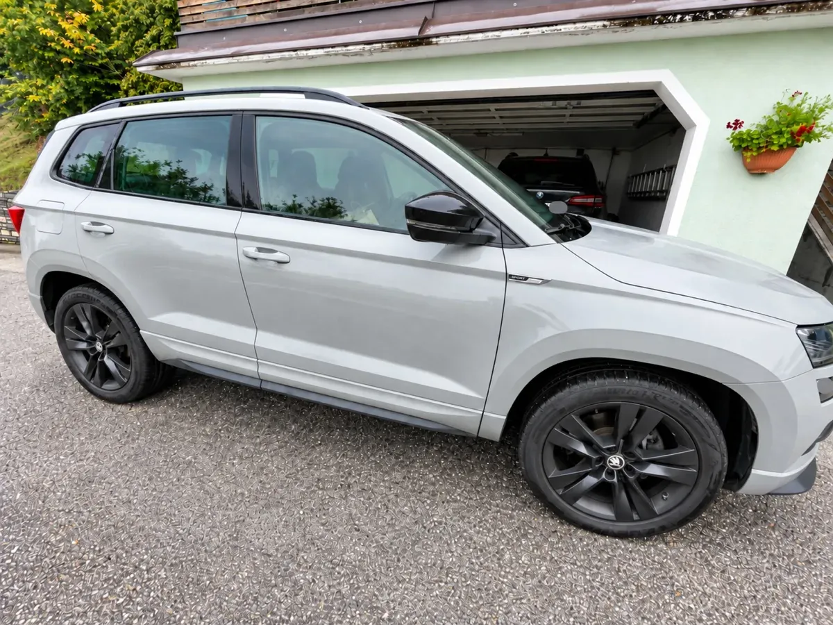 Skoda Karoq 2020 photo 3