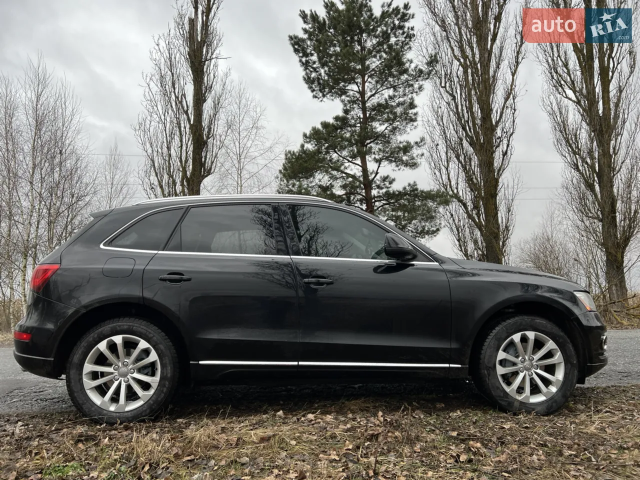 Audi Q5 2012 photo 2