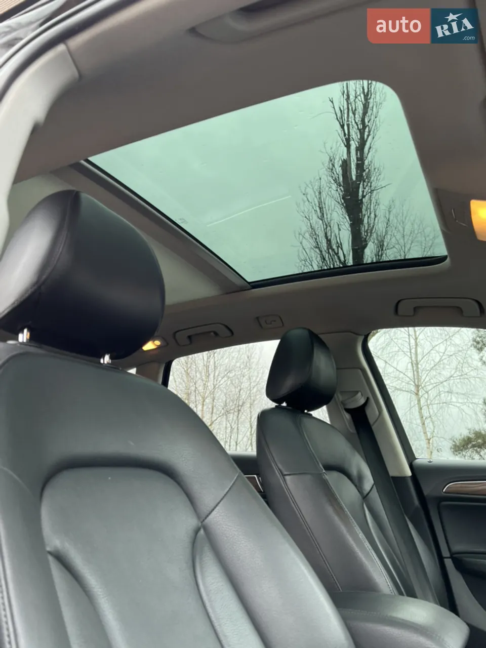 Audi Q5 2012 photo 3