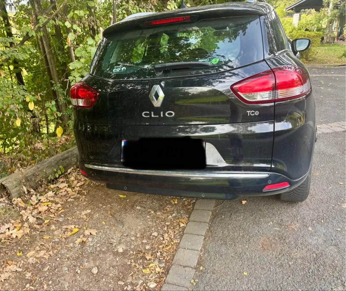 Renault Clio 2015 photo 2
